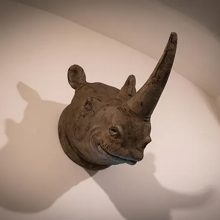 Rhino 아파트