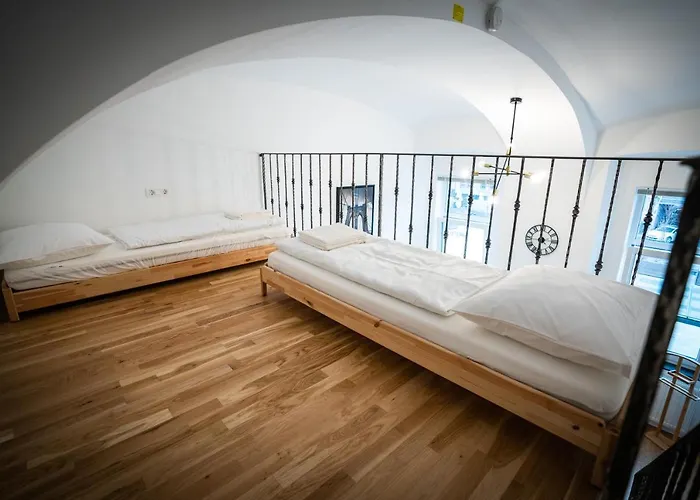 Rhino * ليوبليانا